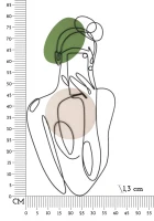 Mauro Ferretti  Panou De Perete Culoare Doamna cm 40X1,3X80(m-6)