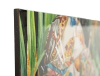 Mauro Ferretti Ceas De Perete Kloe cm 60X4,5X60(m-5)