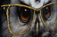 Mauro Ferretti Pictura De Perete Cu Rama Edvy cm 53X3X73(m-3)