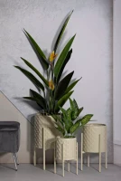 Mauro Ferretti Suport Vaza Betsy Tris cm Ø 36X56,5-30X48,5-24X37,5(m-8)