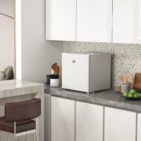 HOMCOM Mini Congelador de 35L con Temperatura Ajustable Puerta Reversible y Bajo Consumo Energético para Cocina Camping Blanco(m-9)