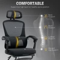 HOMCOM Ergonomic Office Chair, Mesh High Back Desk Chair with Adjustable Lumbar Support and Headrest, Footrest, Reclining Executive Swivel Computer Chair for Home Study, Black(m-4)