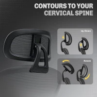 HOMCOM Ergonomic Office Chair, Mesh High Back Desk Chair with Adjustable Lumbar Support and Headrest, Footrest, Reclining Executive Swivel Computer Chair for Home Study, Black(m-6)