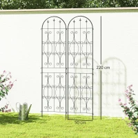 Outsunny Lot de 2 supports pour plantes grimpantes, treillis de jardin, pour légumes, vignes, fleurs, en métal, 50 x 220 cm, noir(m-3)