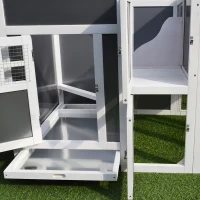 PawHut Kippenhok kippenhuis Geschikt voor 2-4 kippen met legnest eierbak vuren(m-12)