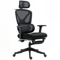 HOMCOM Ergonomic and Adjustable Office Chair - Black(m-11)