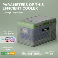 Outsunny 30L Portable Car Refrigerator - Light Green and Grey(m-4)