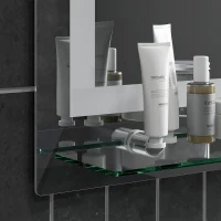 kleankin Espejo para Baño 50x70 cm con 3 Colores de Luz Estante de Vidrio Función de Memoria e Interruptor Táctil Plata(m-8)