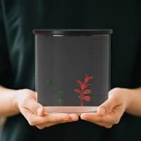 PawHut 3L Small Fish Tank with Filter System, LED Light, Small Fish Tank for Betta, Goldfish, Shrimp, Black(m-8)