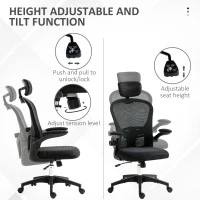 Vinsetto Multi-Adjustable Office Chair, with Lumbar Support, Headrest and Mesh Back - Black(m-4)