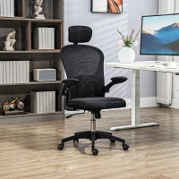 Vinsetto Multi-Adjustable Office Chair, with Lumbar Support, Headrest and Mesh Back - Black(m-2)
