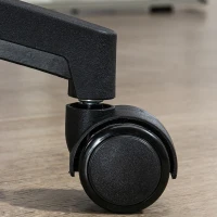 Vinsetto Multi-Adjustable Office Chair, with Lumbar Support, Headrest and Mesh Back - Black(m-9)