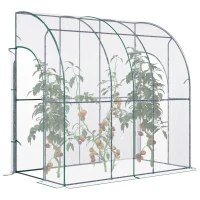 Outsunny Walk-In Greenhouse, Lean-to Small Greenhouse with Zipped Roll Up Doors, Tomato Greenhouse with Plastic Cover and Sloping Top for Flowers, Vegetables and Herbs, 214cm x 118cm x 212cm, Clear(m-10)