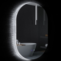 kleankin Specchio Bagno LED Antiappannamento con Luminosità Regolabile, in Vetro e Alluminio, 81x51x4.5 cm
