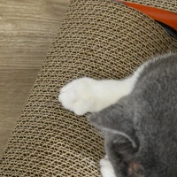 PawHut Cuccia per Gatti Tiragraffi a forma di Auto con Trattamento ad Erba Gatta, in Cartone Ondulato, 50x30x12.5 cm, Rosso(m-7)