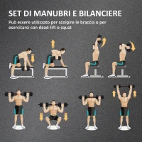 HOMCOM Set 2 Manubri Antiscivolo con 12 Dischi Pesi da 20 kg totali e Connettore, in Acciaio, HDPE e Sabbia, Nero(m-4)