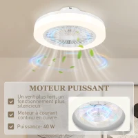 HOMCOM Ventilateur de plafond avec lumière et télécommande 6 vitesses, minuterie, luminosité réglable, blanc(m-6)