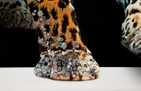 Mauro Ferretti Pictura pe Pânză Jaguar cu Cadru -A- cm 82x4x81(m-4)