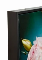 Mauro Ferretti Pânză Lacuită cu Cadru -B- cm 72x4x102 Fantasy(m-3)