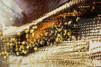 Mauro Ferretti Pânză Lacuită Nairobi cu Cadru -A- cm 52x4x101(m-4)