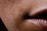 Mauro Ferretti Pânză Lacuită Nairobi cu Cadru -A- cm 52x4x101(m-5)