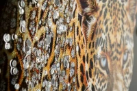 Mauro Ferretti Pictura pe Pânză Jaguar cu Cadru -A- cm 82x4x81(m-3)