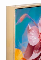 Mauro Ferretti Pictura pe Panză cu Cadru -B- cm 62x4x91(m-3)