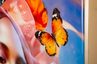 Mauro Ferretti Pictura pe Panză cu Cadru -B- cm 62x4x91(m-4)