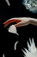 Mauro Ferretti Pictura pe Pânză Dans Lăcuit cu Cadru -B- cm 72x4x101(m-3)