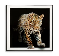 Mauro Ferretti Pictura pe Pânză Jaguar cu Cadru -A- cm 82x4x81(m-1)