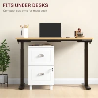 HOMCOM Bloco de Gavetas com 2 Gavetas Fechadura e Barras para Documentos A4 e Carta 40x41,5x67,5 cm Branco(m-8)