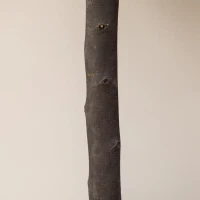 HOMCOM Set of 2 Artificial Plants Boxwood Ball Trees in Pot Fake Plants for Home Indoor Outdoor Decor, 20x20x60cm, Green(m-9)