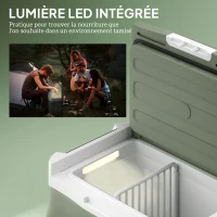 Outsunny Glacière électrique portable 40 L réfrigérateur de voiture portable modes ECO/MAX poignée télescopique 61x39x49,5cm gris(m-7)