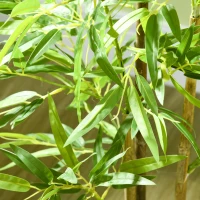 HOMCOM Conjunto de 2 Plantas Artificiais com Vaso Plantas Sintéticas de Bambu com 498 Folhas para Decoração Ø15x120 cm Verde(m-8)