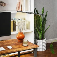 HOMCOM LED Desk Lamp with Clamp, Double Head Table Lamp with 3 Colour Modes & 10 Brightness Levels, Flexible Gooseneck Reading Desk Light with Timer and Memory Function for Study, Office, Work, Black(m-8)