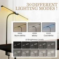 HOMCOM LED Desk Lamp with Clamp, Double Head Table Lamp with 3 Colour Modes & 10 Brightness Levels, Flexible Gooseneck Reading Desk Light with Timer and Memory Function for Study, Office, Work, Black(m-5)