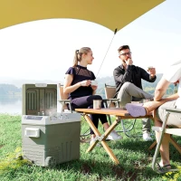 Outsunny Nevera Portátil Eléctrica 45L Refrigerador de Coche 12V/24V -20℃ a +20 ℃ con Pantalla LED Táctil 64,5x43,5x53 cm Verde(m-2)