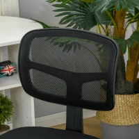 Vinsetto Small Office Chair without Arms, Ergonomic Swivel Mesh Desk Chair with Curved Back and Wheels, Height Adjustable, for Home Vanity Computer Dressing Table Study Bedroom, Holds Up to 120 kg(m-8)
