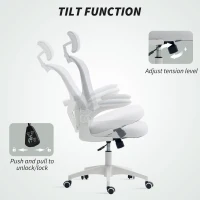 Vinsetto Multi-Adjustable Office Chair, with Lumbar Support, Headrest and Mesh Back - White(m-5)