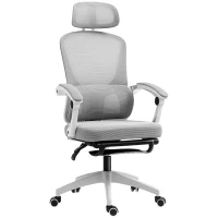 HOMCOM Multi-Adjustable Mesh Back Office Chair - Grey(m-10)