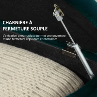 HOMCOM Pouf de Rangement Coffre 2 en 1 - Pouf capitonné Demi-Cercle - Pieds Bois hévéa Noir revêtement Velours vert(m-5)