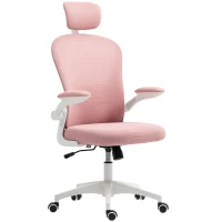 Vinsetto Multi-Adjustable Office Chair, with Lumbar Support, Headrest and Mesh Back - Pink(m-11)