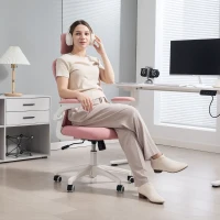 Vinsetto Multi-Adjustable Office Chair, with Lumbar Support, Headrest and Mesh Back - Pink(m-2)