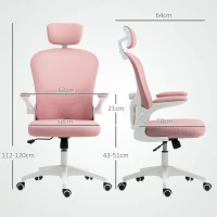 Vinsetto Multi-Adjustable Office Chair, with Lumbar Support, Headrest and Mesh Back - Pink(m-3)