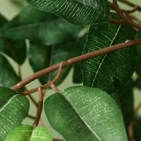 Outsunny Planta Artificial Ficus 150 cm Planta Artificial com 1008 Folhas Musgo e Vaso para Exterior Casa Sala de Estar Escritório Verde(m-8)