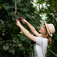 Outsunny Garden Shears, 63.5 cm Heavy Duty Hedge Shears with Razor-Sharp Blades, Comfort Grip and Tension Adjuster for Hedges, Shrubs and Bushes, Easy Cutting and Trimming(m-2)