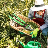 Outsunny Telescopic Loppers 64.5-90 cm, Extendable Garden Loppers Heavy Duty with Steel Blade and Adjustable Handles, Tree Trimmer for Branches, Bushes, Shrubs, Green(m-7)