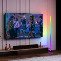 HOMCOM LED RGBIC Stehlampe mit APP-Steuerung und Fernbedienung, Musiksync, 16 Millionen Farben, Szenenmodi und Timer(m-2)