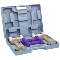SPORTNOW Juego de Mancuernas de 6 Piezas 2 x1 kg 2 x2 kg 2 x3 kg con Estuche de Transporte para Ejercicio en Casa Gimnasio(m-10)