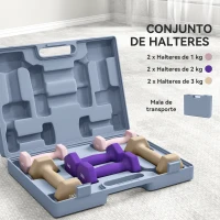 SPORTNOW Conjunto de Halteres de 6 Peças 2 x 1 kg 2 x 2 kg 2 x 3 kg Halteres Hexagonais com Revestimento de Plástico Antiderrapante Multicolor(m-4)